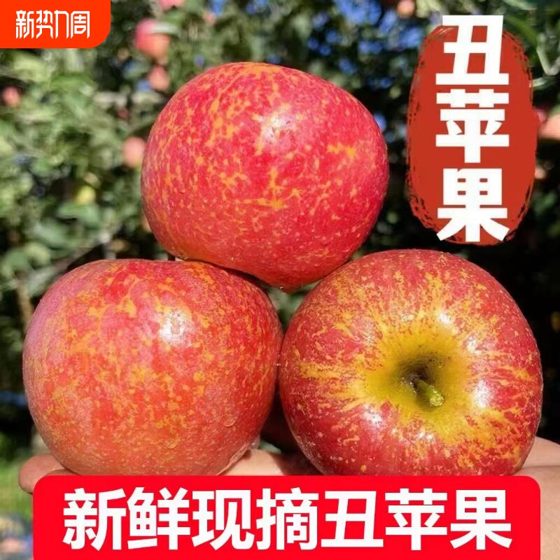 原产地现摘现发正宗丑苹果野生新鲜冰糖心脆甜水果应季水果