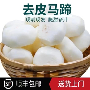 马蹄去皮荸荠新鲜【顺丰包邮】精品地梨农家脆甜即食水果包邮