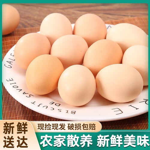 新鲜土鸡蛋正宗农家放养谷物喂养笨鸡蛋鲜鸡蛋柴鸡蛋营养早餐散养