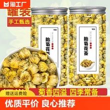 菊花茶胎菊王菊花茶金丝皇菊大菊花独立包装 茗茶胎菊黄菊花茶