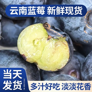 当季 水果l25特大果产地直发现摘精品 包邮 蓝莓新鲜高山整箱顺丰