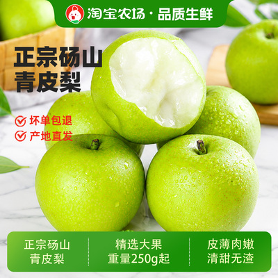 砀山酥梨蜜甜梨子苹果梨新鲜当季孕妇应季水果梨包邮青皮农场单果