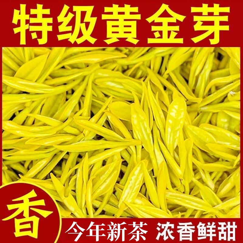 浙江新茶2026新茶明前特级黄金芽绿茶黄金叶高档装罐装袋装茶叶