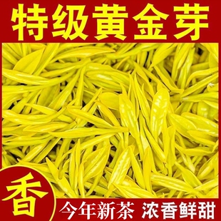 浙江新茶2026新茶明前特级黄金芽绿茶黄金叶高档装罐装袋装茶叶
