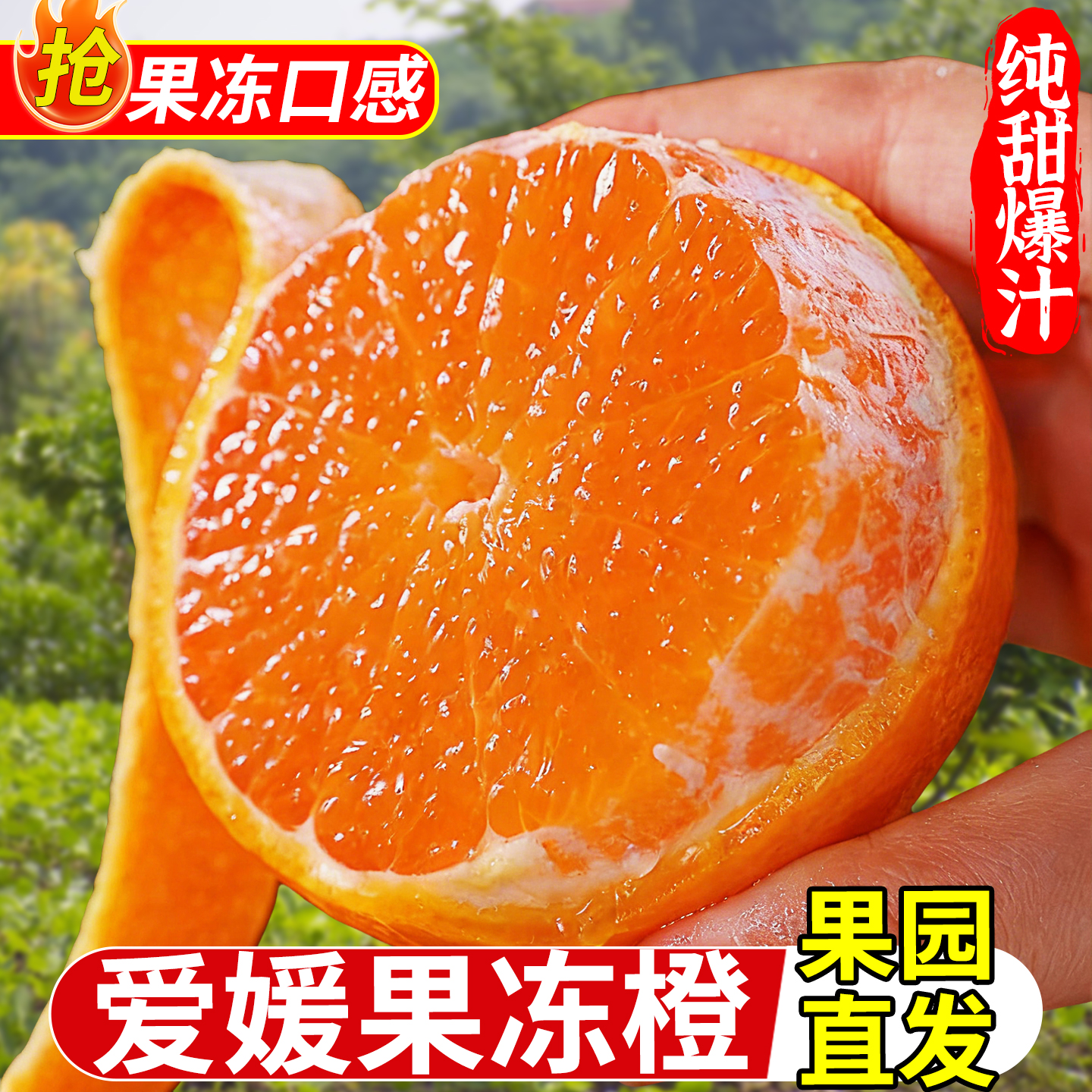 正宗四川爱媛38号果冻橙10斤新鲜水果当季现摘橙子甜橘手剥橙大果