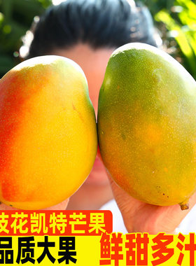 正宗攀枝花凯特芒新鲜芒果当季水果四川甜心青皮澳芒现摘大果整箱