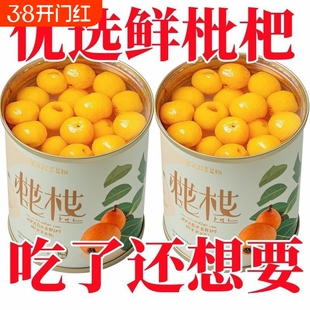 糖水枇杷罐头大罐新鲜无核琵琶大果鲜果水果罐头铁罐装商用零食