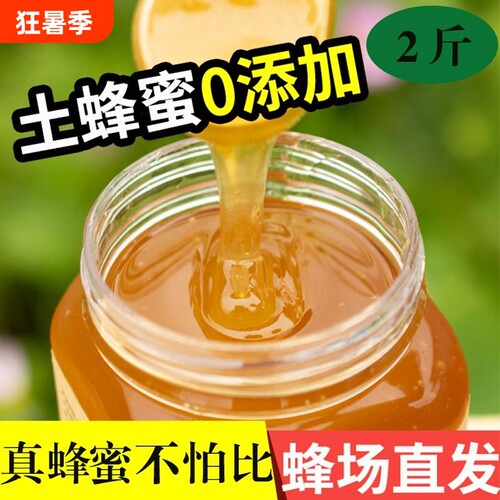500克纯正土蜂蜜正品无