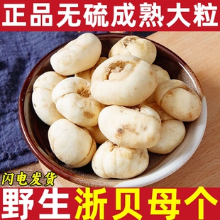 浙江贝母中药材浙贝母野生 象贝母 土贝 干贝母 大贝母个 贝母片