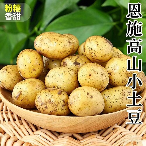 恩施小土豆包邮农家正宗新鲜