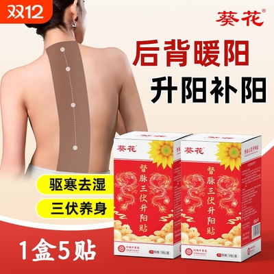 葵花三伏升阳龙骨督脉贴艾炙祛湿