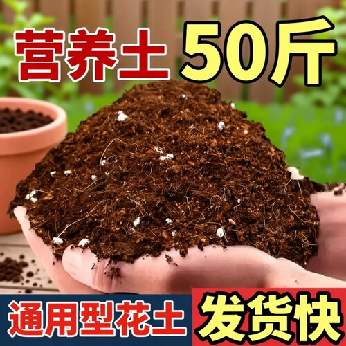 通用营养土高温不烂根疏松透气