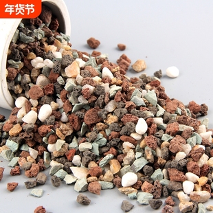 多肉专用颗粒土彩虹石种植营养土兰花盆栽铺面石养花颗粒石子生长