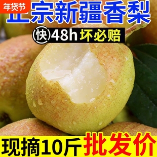 正宗新疆香梨新鲜水果爆甜梨子梨源自库尔勒杂交品种红香酥梨批发