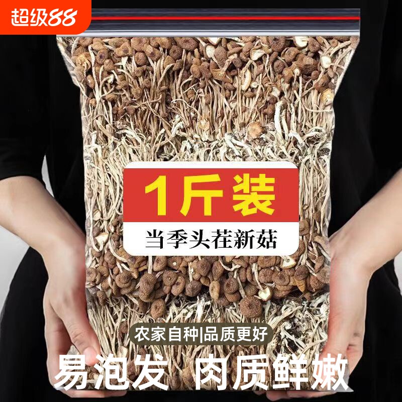【首单直降】农家茶树菇古田新货500g干货特级茶薪菇无硫香菇蘑菇