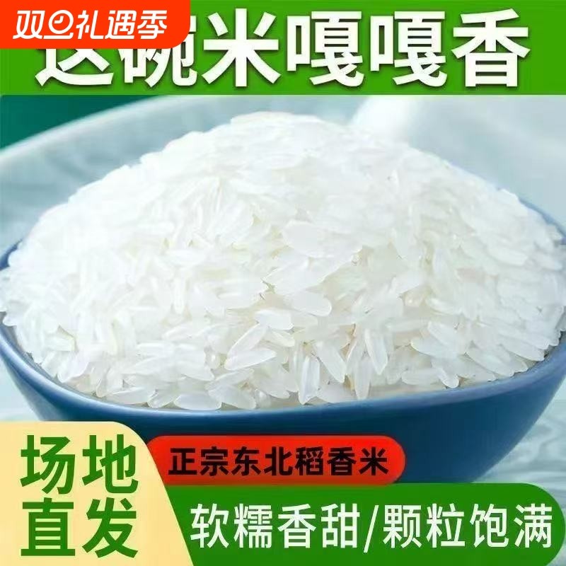 大米1斤装小袋真空2024年新米盘锦蟹田米500g东北胚芽米团购家用