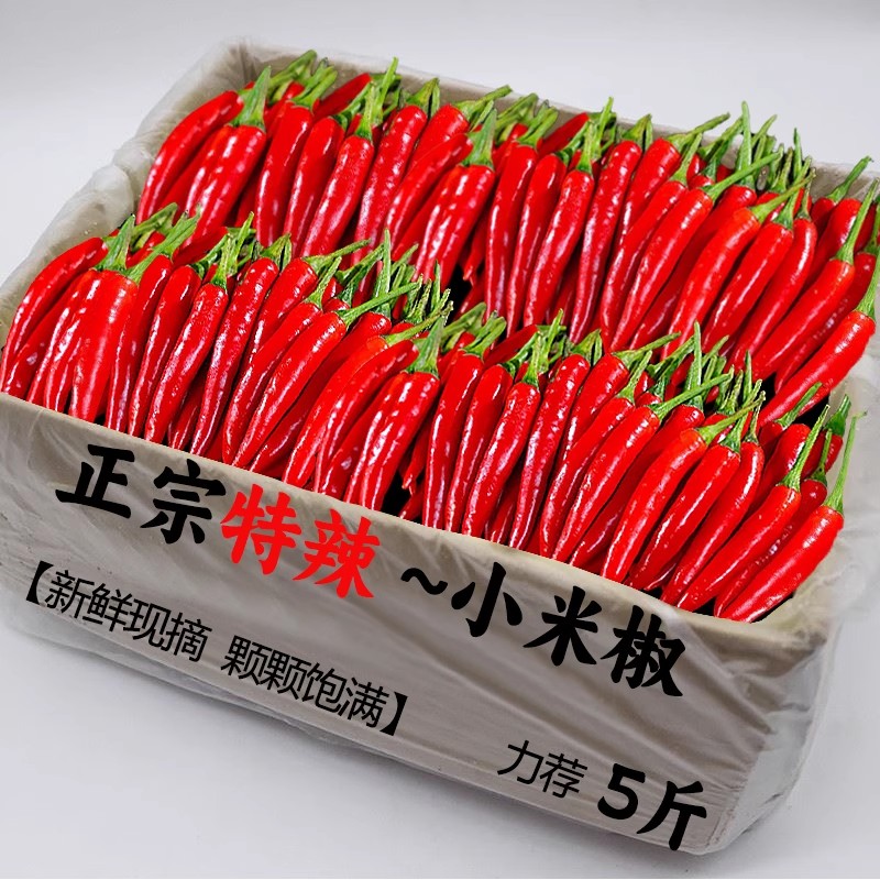 小米辣椒新鲜小米椒超辣五七彩辣椒指天椒特辣蔬菜9斤农家自种