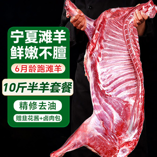 羊肉新鲜现杀正宗宁夏滩羊礼盒羊排羊腿羊蝎子整半只10斤年货送礼
