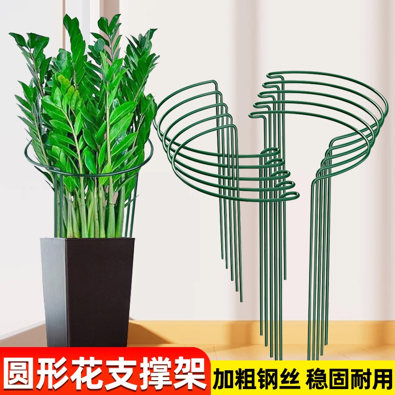 花支撑架金钱树半圆防倒伏支撑杆龟背竹虎皮兰绣球园艺固定护叶架
