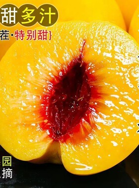 山东蒙阴黄桃大果新鲜毛桃子甜蜜可口黄金水蜜桃软硬两吃现摘脆甜