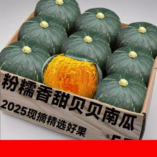 正宗贝贝南瓜5斤新鲜粉糯