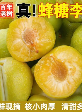 正宗四川蜂糖李子新鲜当季水果现摘脆甜蜂蜜李黄金奈李整箱包邮