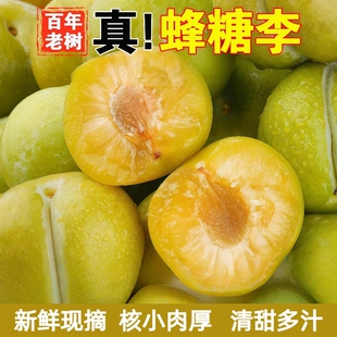 正宗四川蜂糖李子新鲜当季水果现摘脆甜蜂蜜李黄金奈李整箱包邮