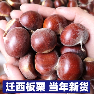 3斤正宗野生新鲜板栗迁西燕山唐山河北油栗特产小栗子去皮带壳