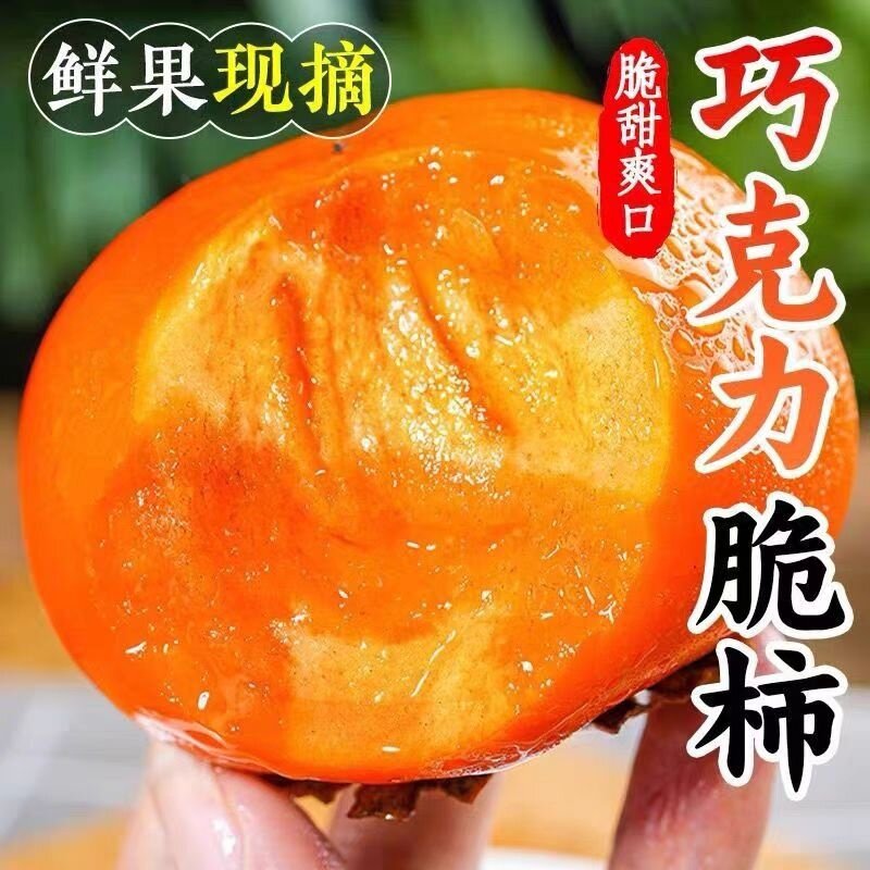 正宗巧克力脆柿子香甜脆柿新鲜硬柿子口整箱包邮脆甜现摘放心礼盒