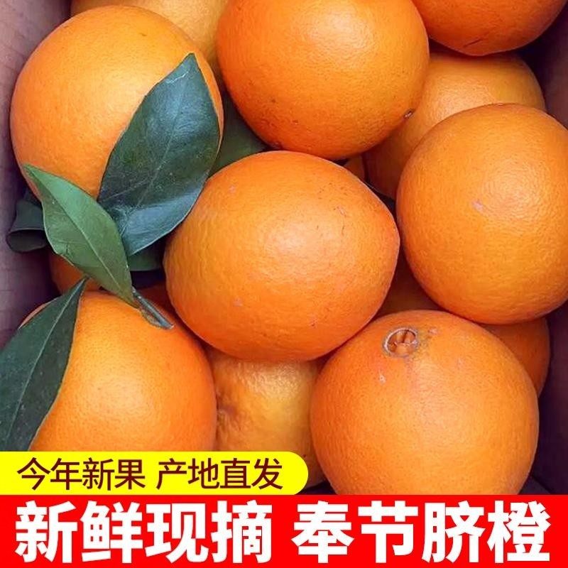 正宗重庆奉节当季应季橙子水果柑子新鲜产地直发,水产肉类/新鲜蔬果/熟食,橙,淘宝优惠券,粉丝福利购,淘宝优惠卷
