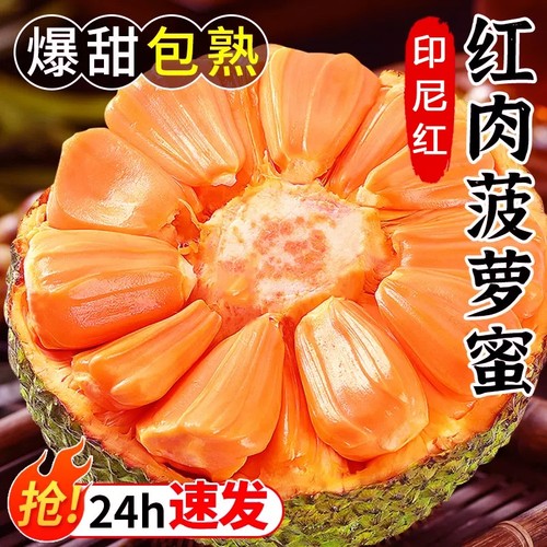 越南进口印尼红菠萝蜜一整个当季新鲜水果红肉波罗蜜爆香脆甜包邮