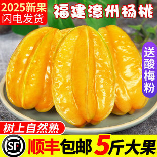 福建漳州甜杨桃5斤当季新鲜网红水果特大果整箱洋桃五角星顺丰