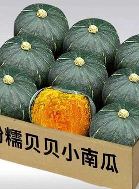 贝贝南瓜新鲜粉面香甜