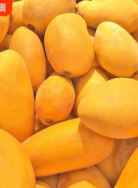 海南小台农芒果10斤新鲜小台芒热带水果应当季现摘甜心芒特产大果