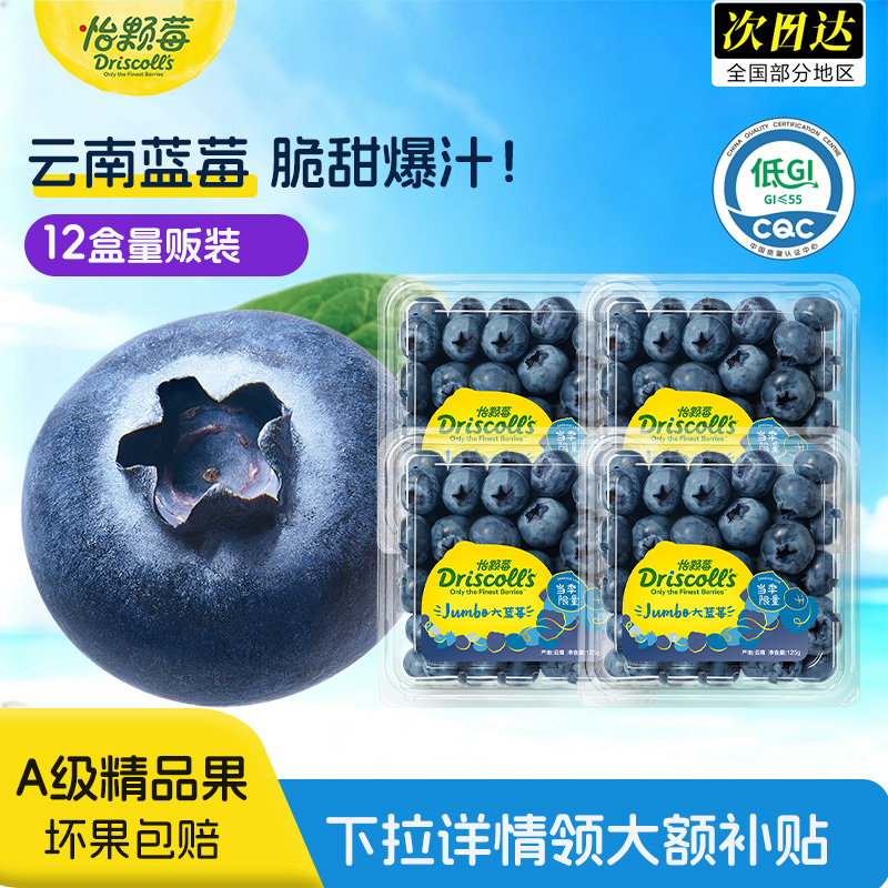 怡颗莓云南新鲜蓝莓大果云南蓝莓