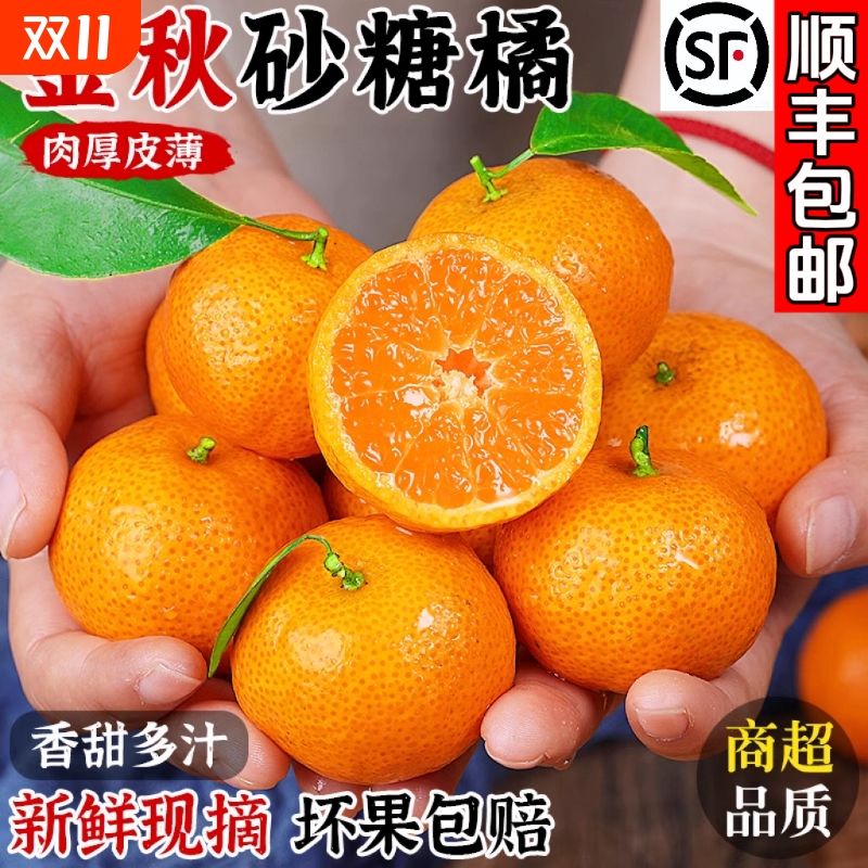 正宗广西金秋砂糖橘纯甜当季新鲜水果整箱无籽小沙糖桔子现摘甜蜜