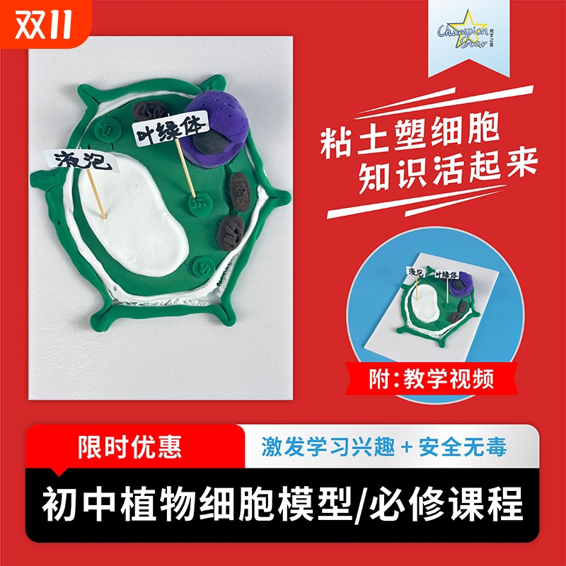 植物细胞模型初中生物模型