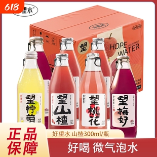 好望水饮料望山楂杨梅柠檬果汁气泡水汽水碳酸饮料300ml