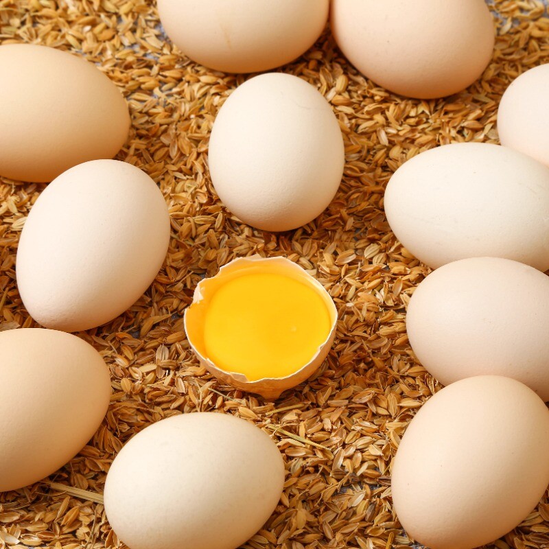 2ö �ʼ��� ��2-50ö�ؼۡ�����ũ���ʼ������ʹ���ɢ����������ũ��񼦵�