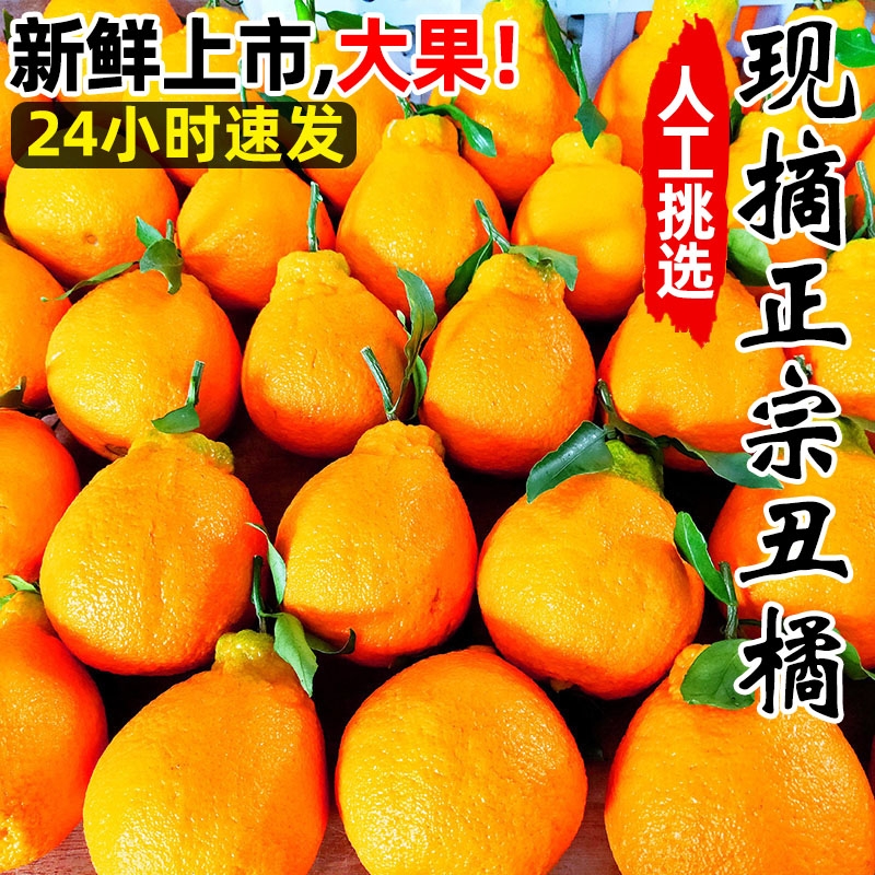 丑八怪丑橘新鲜耙耙柑橘子10斤蜜橘桔子当季时令应季水果整箱现摘