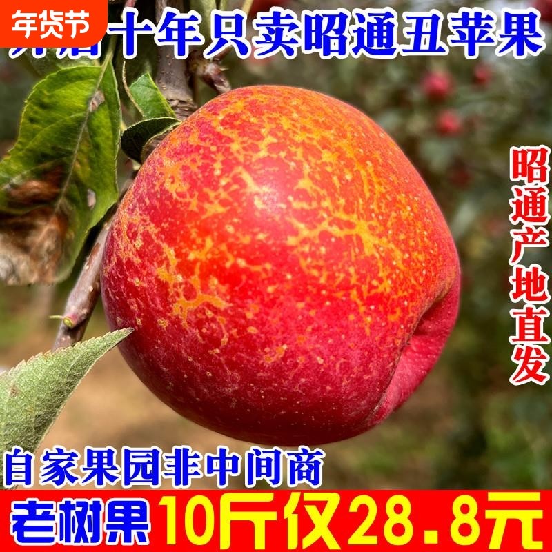 云南昭通丑苹果新鲜红富士冰糖心丑苹果当季水果整箱10斤产地直发,水产肉类/新鲜蔬果/熟食,苹果,淘宝优惠券,粉丝福利购,淘宝优惠卷