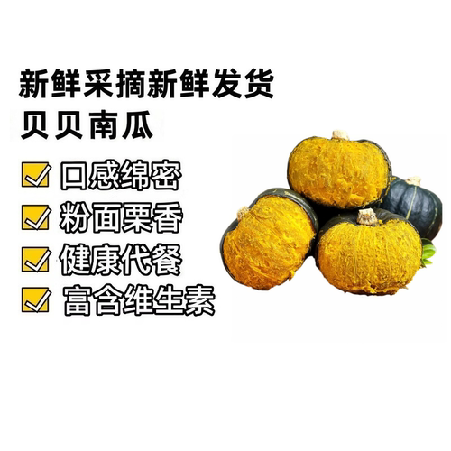 正宗贝贝南瓜粉糯香甜板栗香味