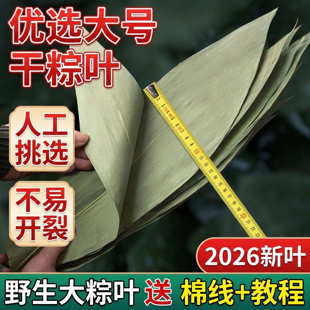 干粽叶大码粽子叶免邮新鲜麻竹箬叶商包粽子材料端午批发送绳野生图片