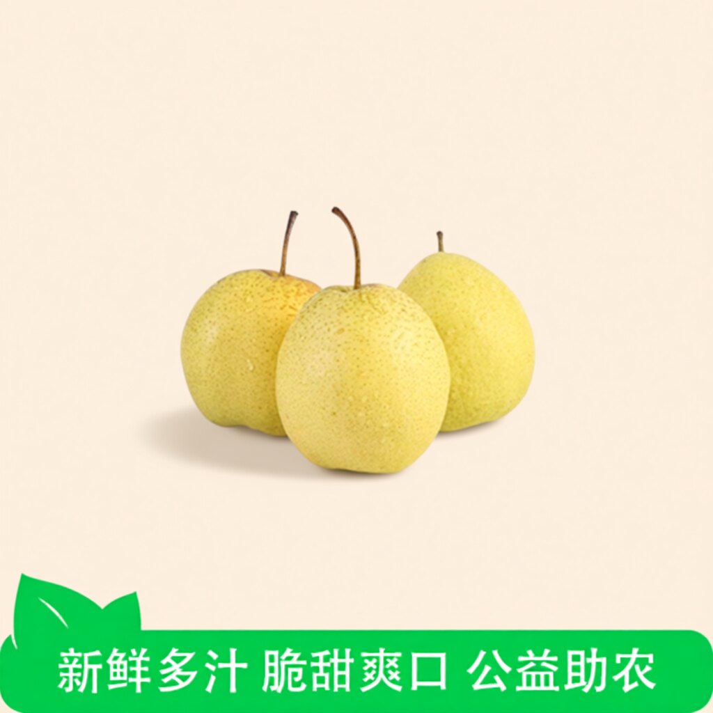 河北赵县雪花梨5斤装单果300g新鲜雪梨可口鲜甜梨子 - 实物图