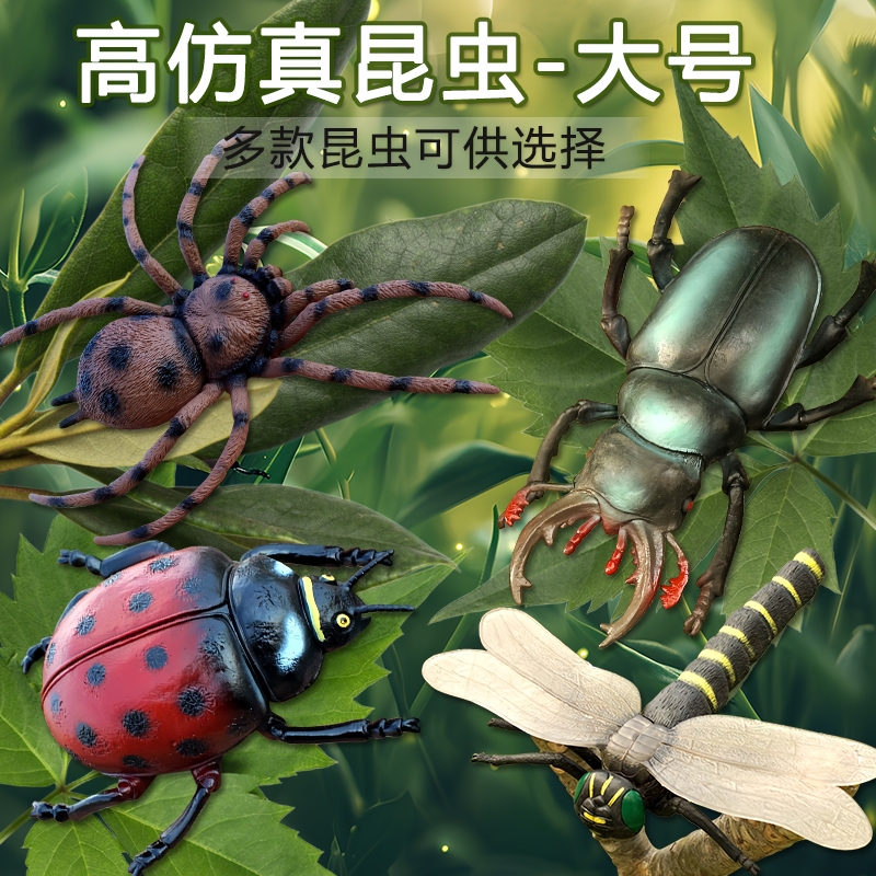 蜘蛛道具会动的昆虫模型儿童蚂蚁蜜蜂甲虫蚂蚱蜢动物玩具蟋蟀软胶