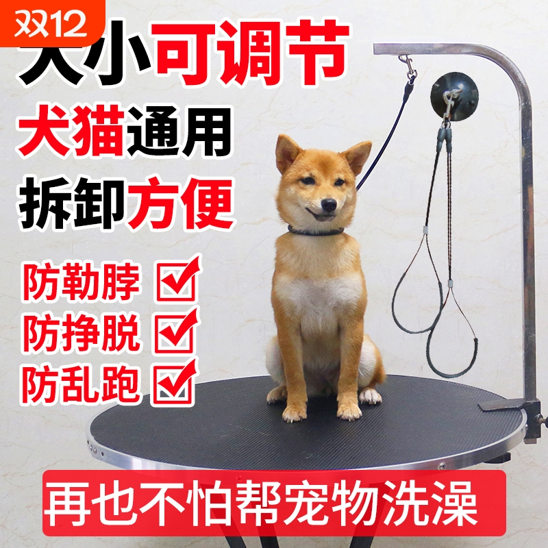 猫咪防跑绳狗狗猫猫洗澡固定器宠物美容桌吊绳子吸盘挂绳钢丝浴室