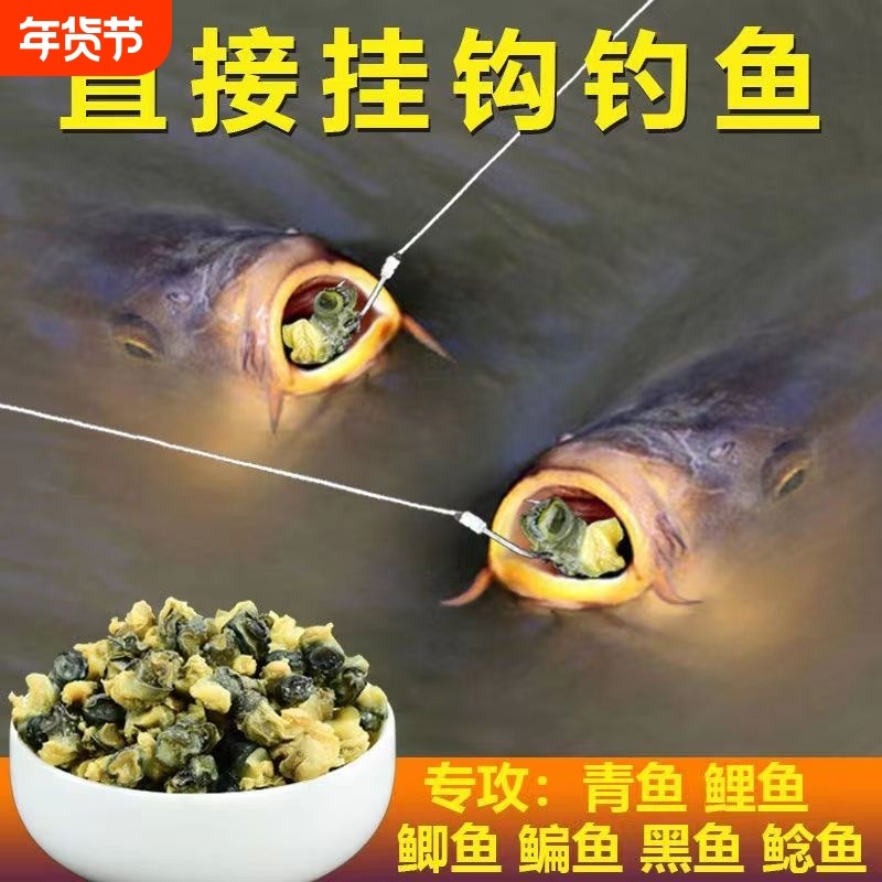 螺肉专用饵钓青鱼钓黑鱼野钓鲫鱼鲤鱼鲶鱼黑鱼饵料黑坑湖库颗粒,户外/登山/野营/旅行用品,活饵/谷麦饵等饵料,淘宝优惠券,粉丝福利购,淘宝优惠卷