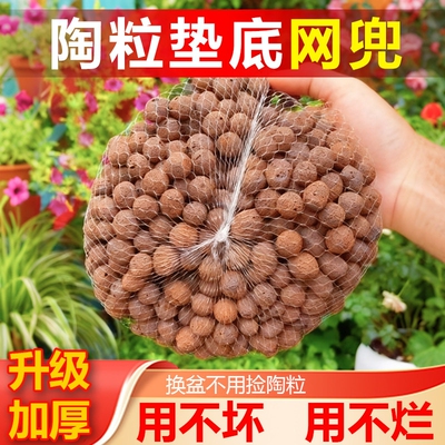 陶粒垫底网兜种多肉袋花