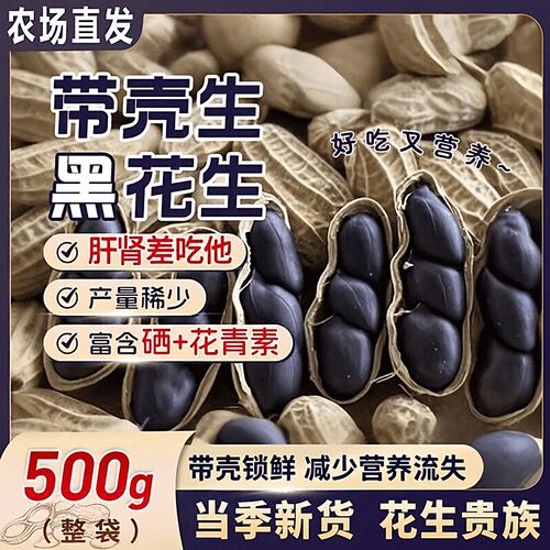 黑花生富硒带壳生黑花生紫皮花生下酒菜滋补养生休闲追剧小零食