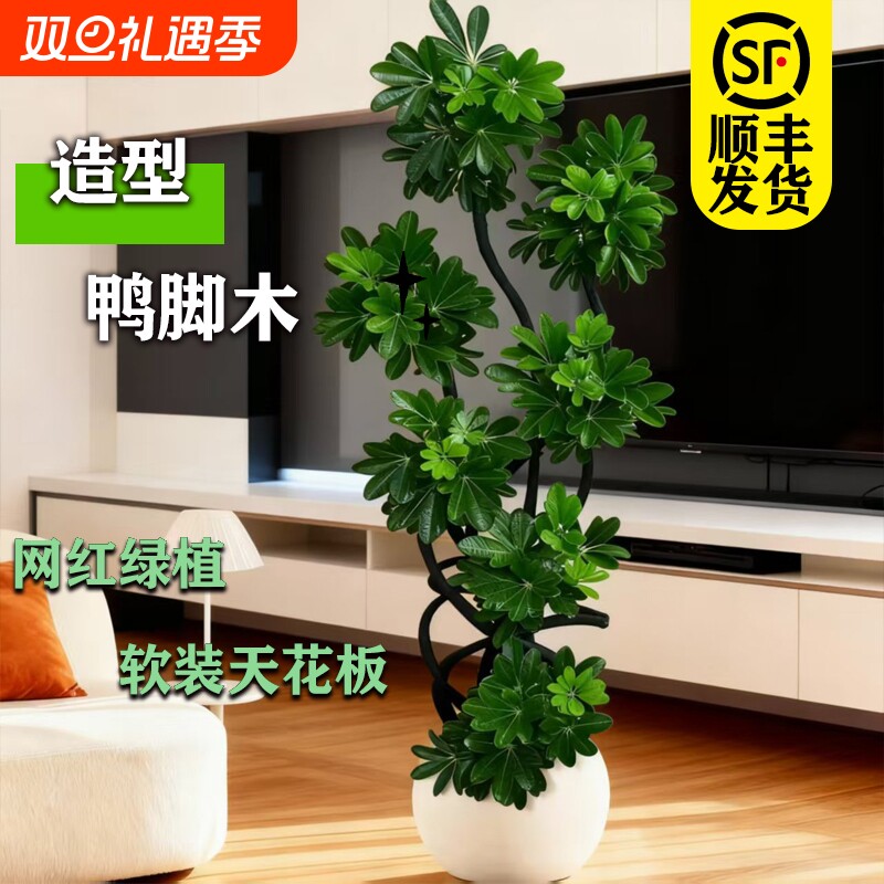 造型鸭脚木客厅大盆栽鸭掌木鹅掌柴室内落地式大型四季常青绿植物